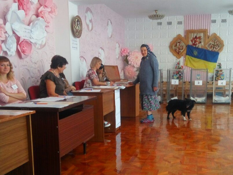Как в Ровно собака помогла хозяйке прого…