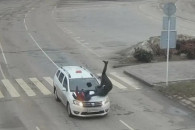 В городе на Днепропетровщине таксист сби…