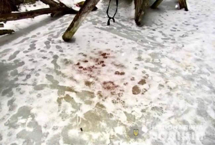 На Київщині жорстоко вбили диких козулю…