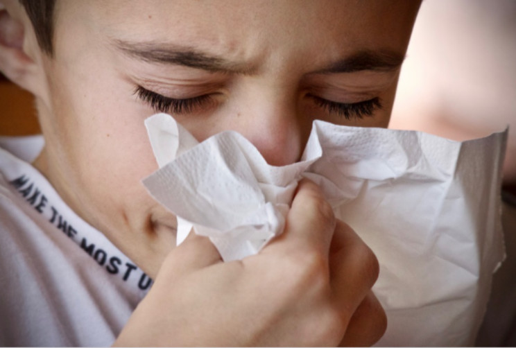 Як відрізнити COVID-19 від сезонної алер…