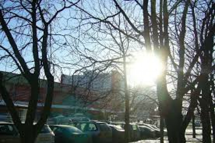 Ясну й суху погоду прогнозують на Хмельн…