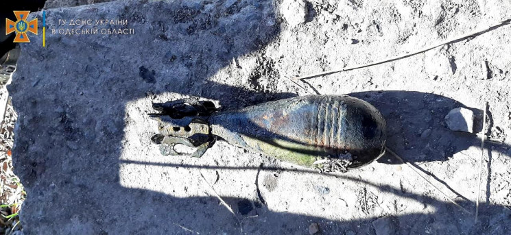 В Одесской области рыбак "поймал" миноме…