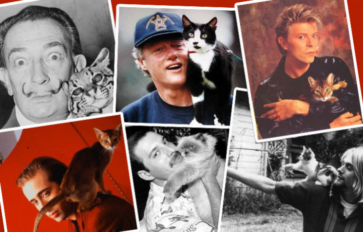Коты и их знаменитости: 30 трогательных…