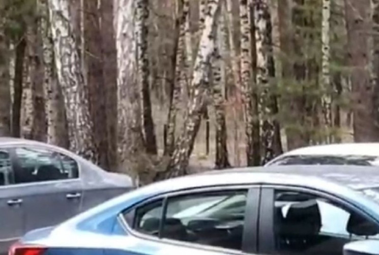 Вырывали входные замки: В Буче вооруженн…