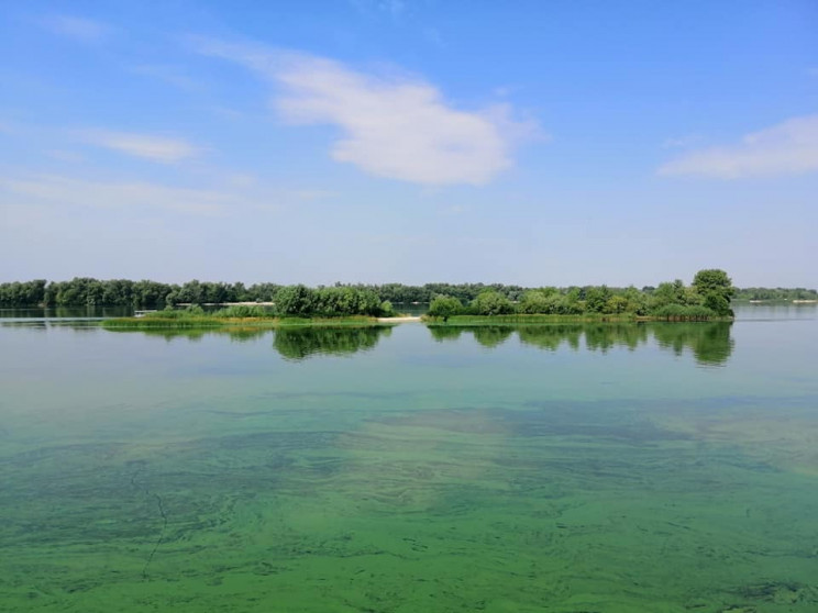 На Полтавщині "зацвіла" зеленим річка Дн…