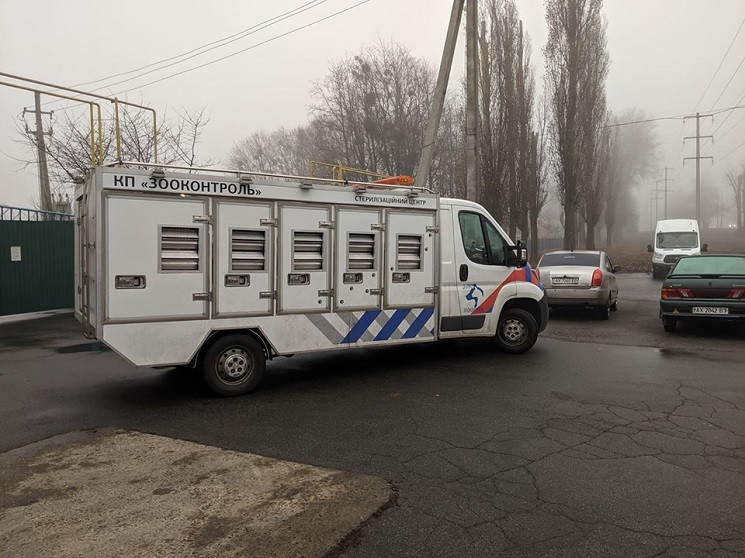 У Дніпрі "Зооконтроль" прихистить тварин…