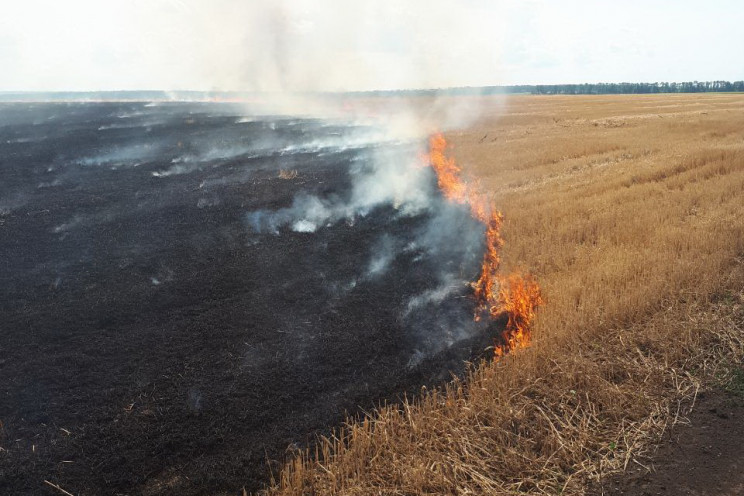 На Харківщині сталося масштабне загорянн…