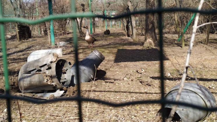 Николаевцы, спасая животных в зоопарке о…