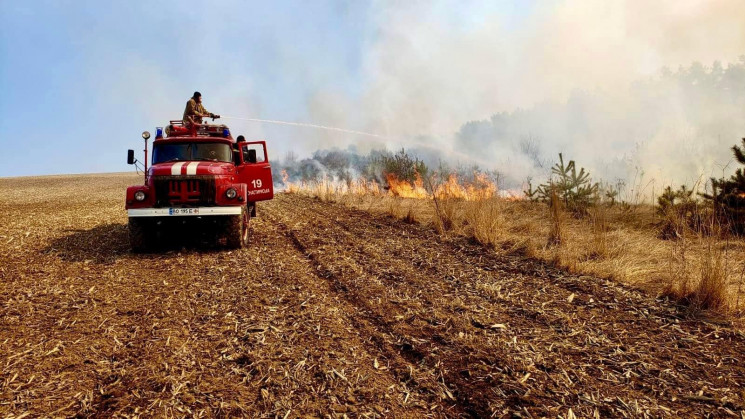 На Тернопільщині вигоріло пів сотні гект…