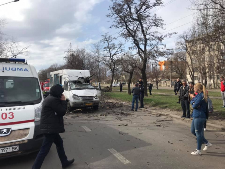 У Миколаєві дерево впало на маршрутку: Д…