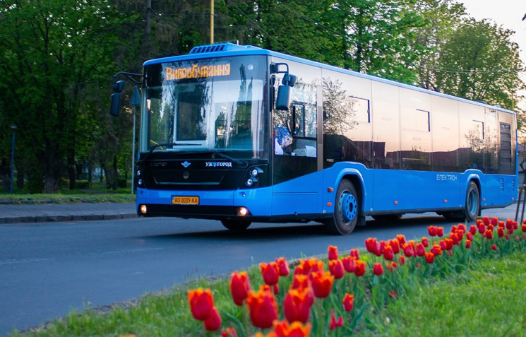 В Ужгороді відкриють новий автобусний ма…