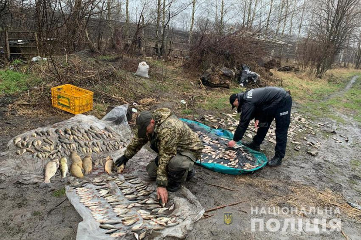 На Хмельниччині браконьєри електровудкам…