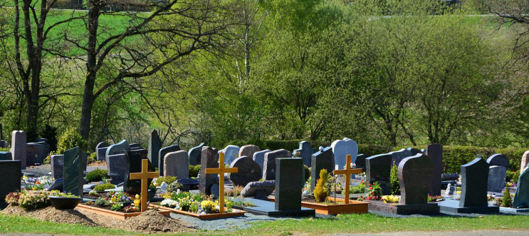ГСЧС просит украинцев не ходить на кладб…
