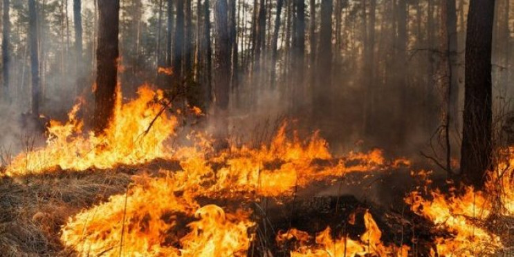 Окупована Херсонщина: Пожежі охопили 800…