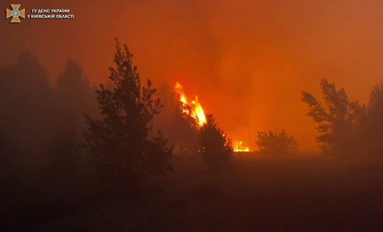 На Киевщине — лесной пожар, огнеборцы сп…