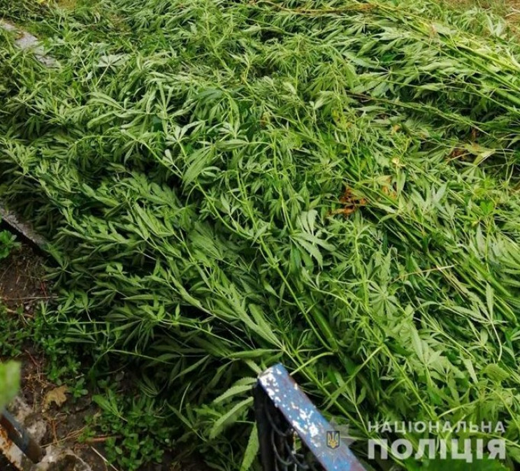 На Ужгородщині поліцейські виявили нарко…