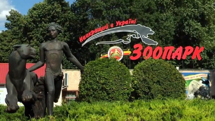 У Миколаєві відновлює роботу зоопарк: да…