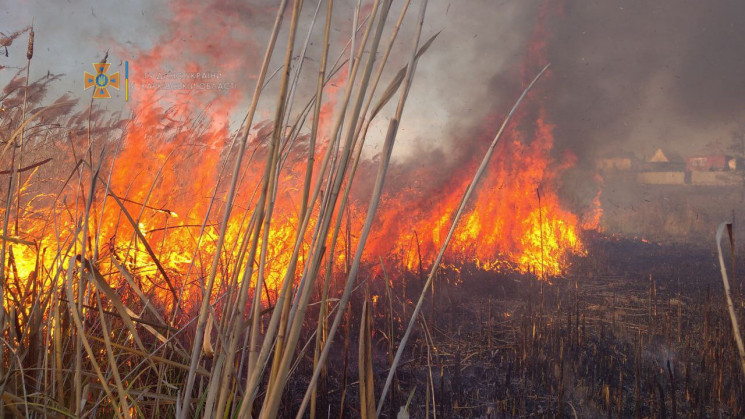 На Киевщине объявили чрезвычайную пожарн…