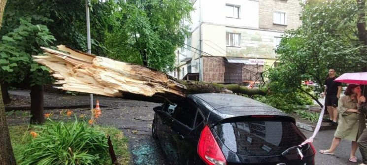 Потоп і повалені дерева: Тернопіль накри…
