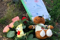 Загибель маленької Лізи у Вінниці: Коміс…