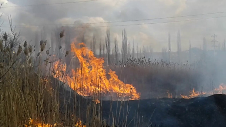 На Тернопільщині після спалювання сухої…