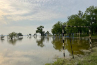 Підтоплення Миколаєва: Наразі рівень вод…