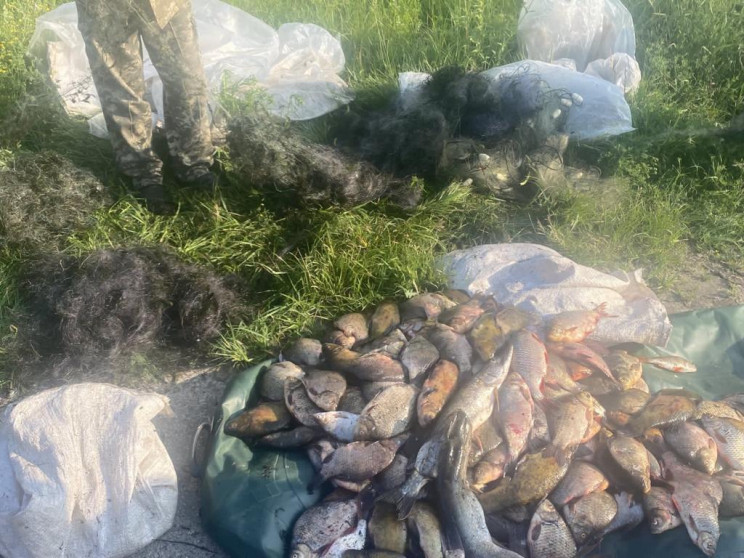 На Чернігівщині браконьєри попалися з ул…