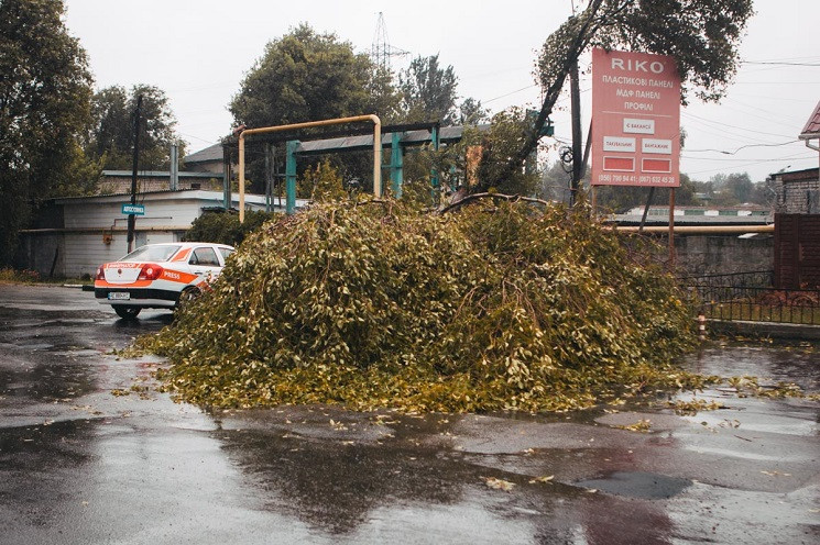 В Днипре дерево упало на машину…