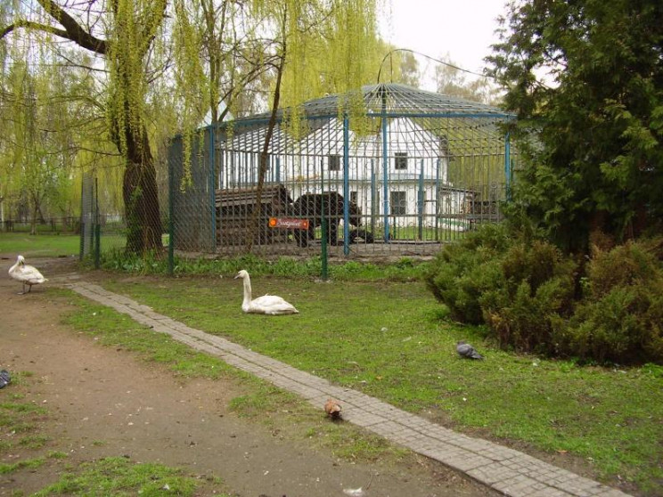 У Хмельницькому вимагають закрити зоокут…