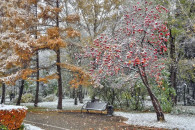 Цьогорічна зима здивує українців…