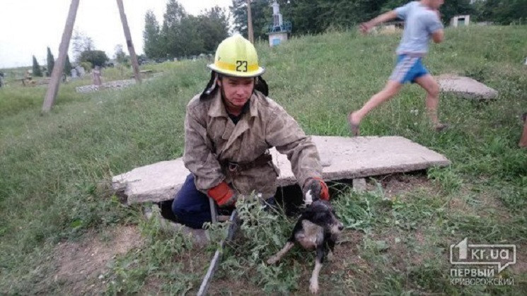 В селе под Кривым Рогом спасатели вызвол…