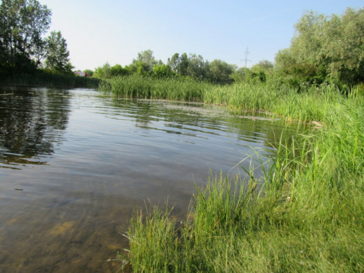 Санепідемстанція не виявила збудник гепа…