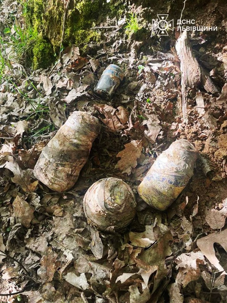 В лісі на Львівщині знайшли 20 кг ртуті…