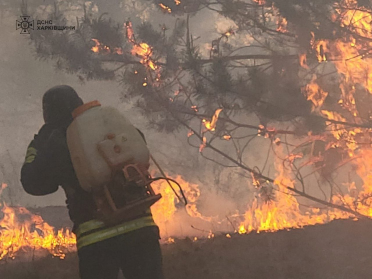 На Харківщині – масштабна лісова пожежа…
