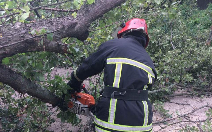 На автодорогу в Кропивницком рухнуло огр…