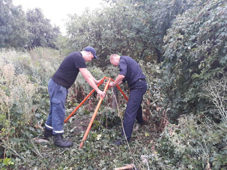 На Полтавщине мужчина рвал бузину во дво…