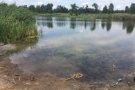 Озера Бойка в Сіверськодонецьку: Чим зак…