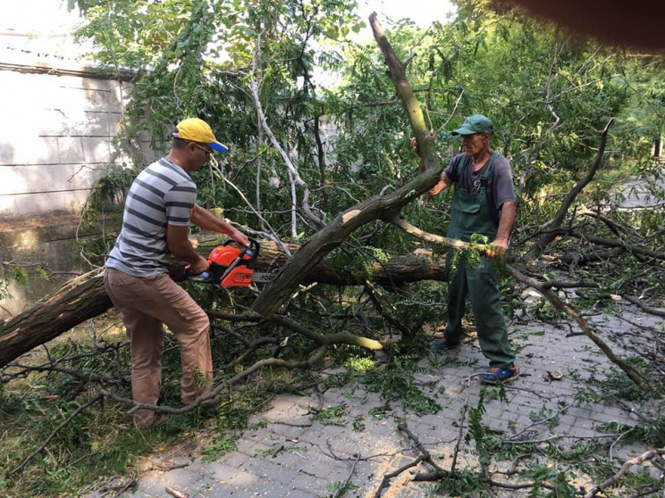 Шквальний вітер повалив в Одесі 14 дерев…