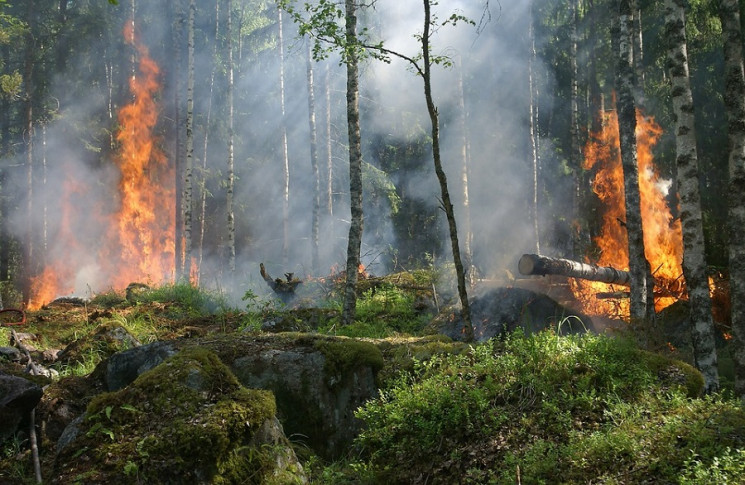 Масштаби пожеж в Іркутській області тіль…