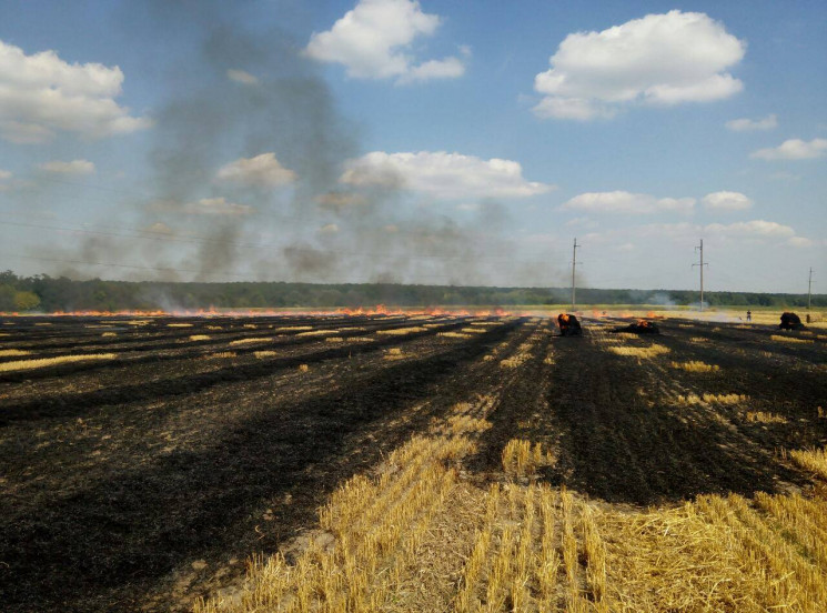 Через людську недбалість на Вінниччині г…