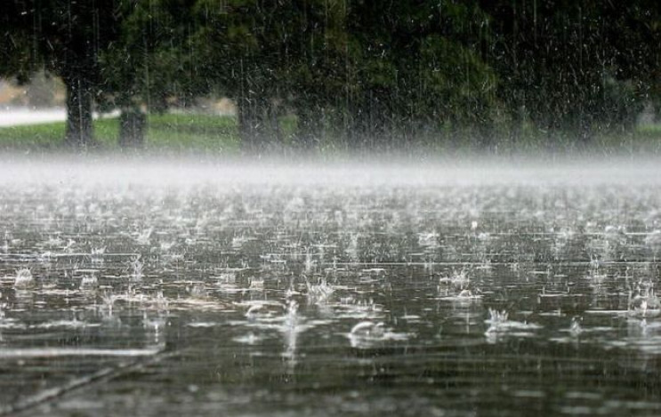 Львівська вдячність: У водія, який у дощ…