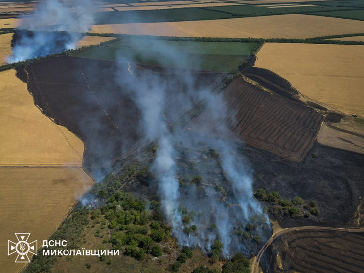 На Миколаївщині за добу вогонь знищив зе…