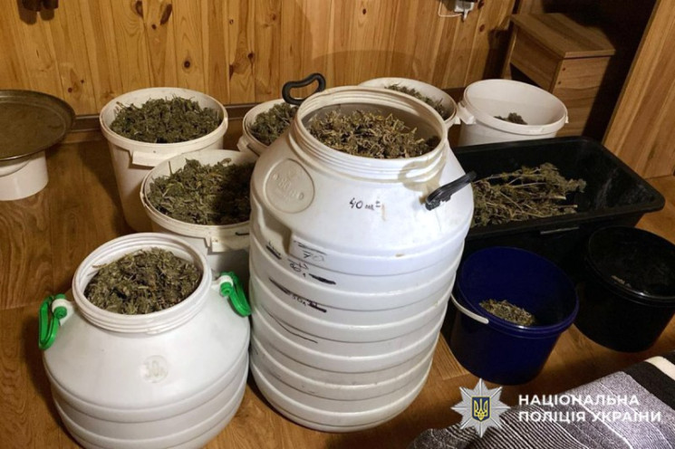 На турбазі на Хмельниччині виявили канаб…