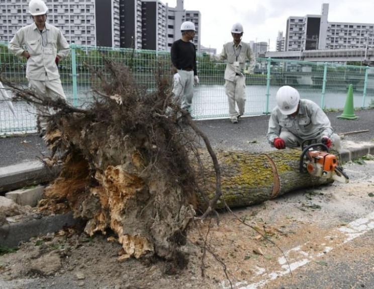 Японию уже терзает тайфун: 16 пострадавш…