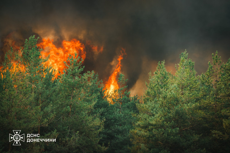 Майже пʼять діб гасили лісові пожежі на…