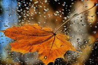 Синоптики прогнозують на 17 вересня него…