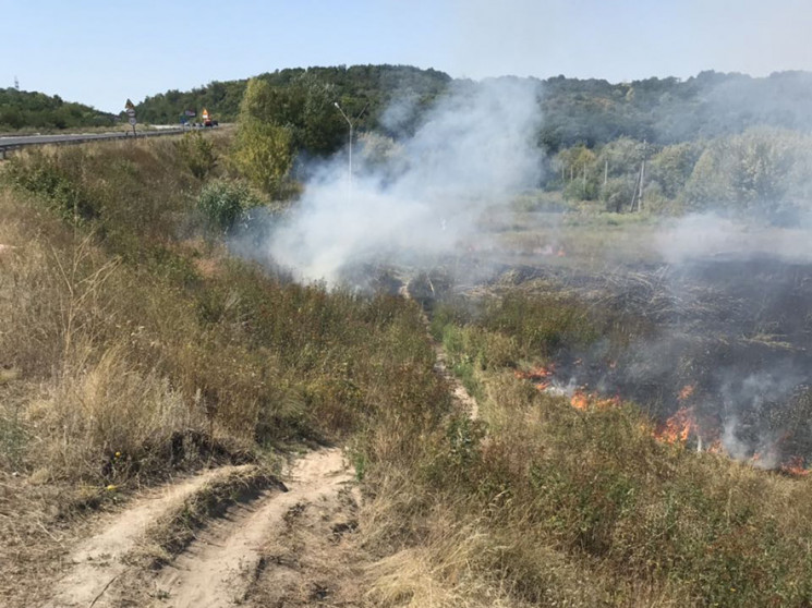 В Полтаве загорелся сухостой на улице Юж…