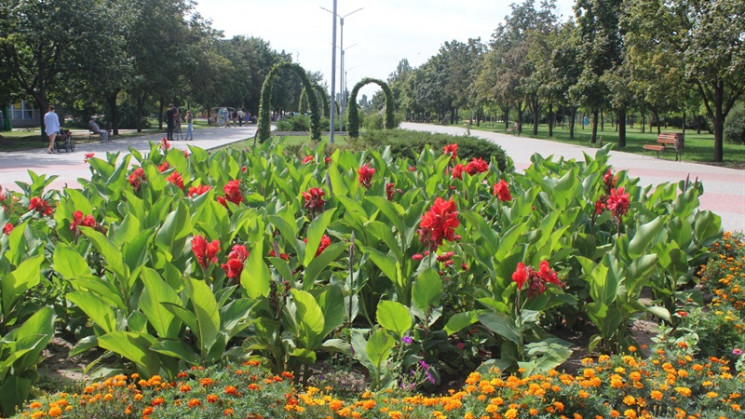 В запорожском парке появится аллея влюбл…