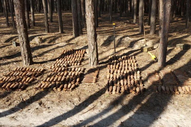 В лесу на Харьковщине нашли 350 мин и сн…