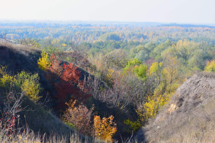На Полтавщині викрили масштабну схему пр…